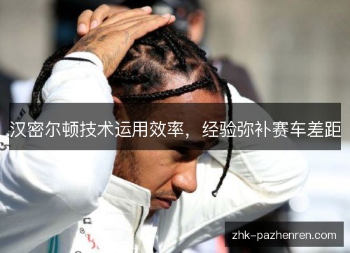 汉密尔顿技术运用效率，经验弥补赛车差距